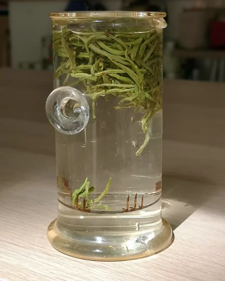 Préparation d'une infusion d'un thé vert à température ambiante dans une petite théière en longueur comme un tube. Elle est en verre transparente posée sur une table en bois. L'éclairage est assez sombre. La lumière éclaire seulement le thé qui flotte dans l'eau.