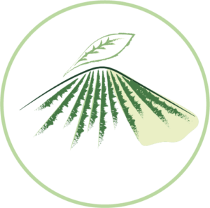 Pictogramme d'une montage avec des traits représentant les plantations de thés. au dessus de cette montagne une feuille est représentée pour sa référence au thé. Le pictogramme est en vert foncé avec une touche de vert clair pour l'ombre de la montagne à droite. Le tout est sur un fond blanc et entouré par un cercle vert clair. Il représente l'atelier "Thé-Merveiller au cœur des terroirs de thé"