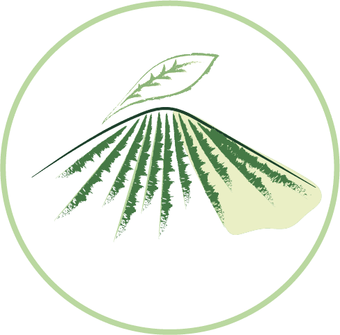 Pictogramme d'une montage avec des traits représentant les plantations de thés. au dessus de cette montagne une feuille est représentée pour sa référence au thé. Le pictogramme est en vert foncé avec une touche de vert clair pour l'ombre de la montagne à droite. Le tout est sur un fond blanc et entouré par un cercle vert clair. Il représente l'atelier "Thé-Merveiller au cœur des terroirs de thé"