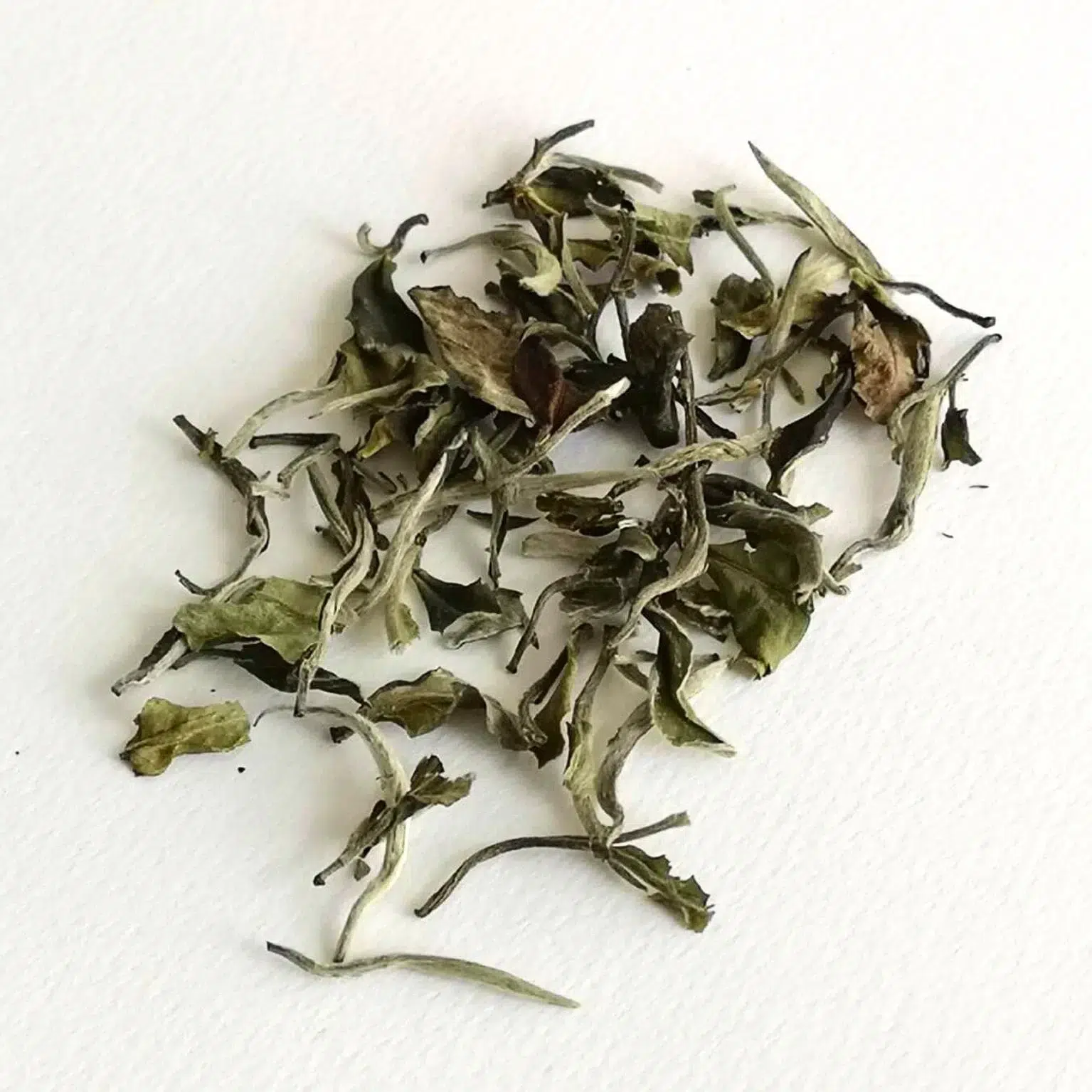 Photographie packshot sur fond blanc des feuilles de thé blanc Bai Mu Dan