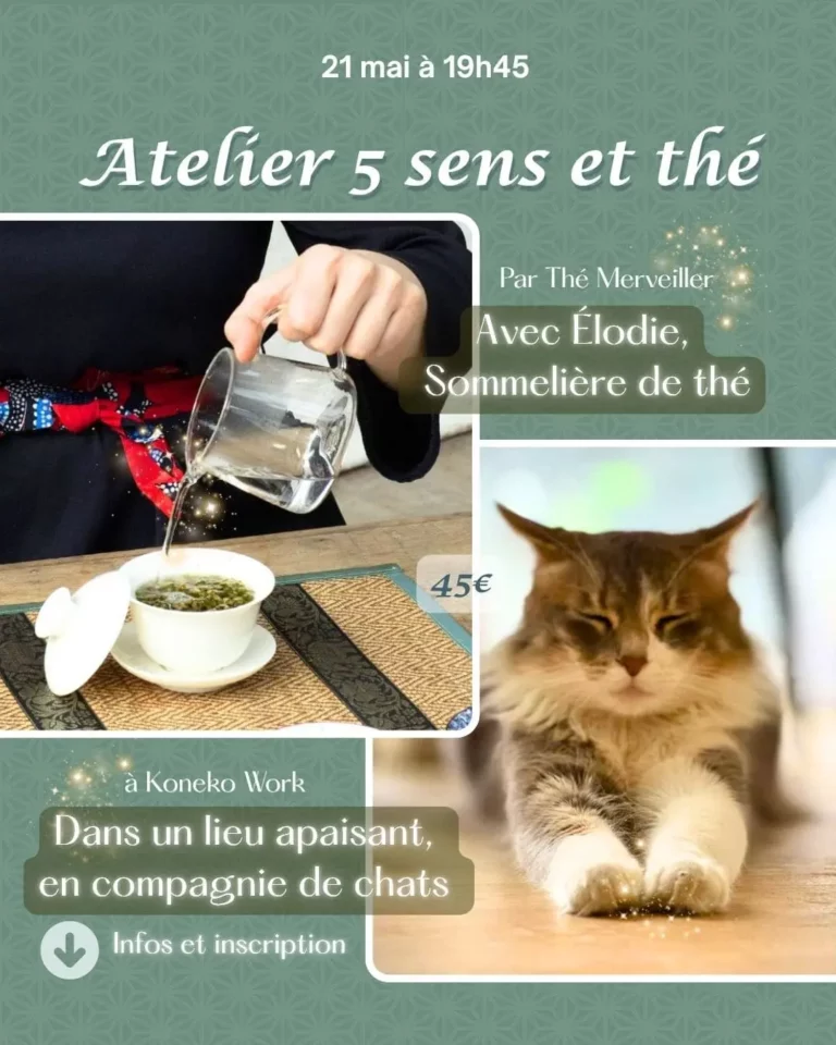 Affiche atelier "Thé Merveiller par les sens et les émotions" présentant sur fond vert une photographie d'une main infusant le thé et d'un chat.