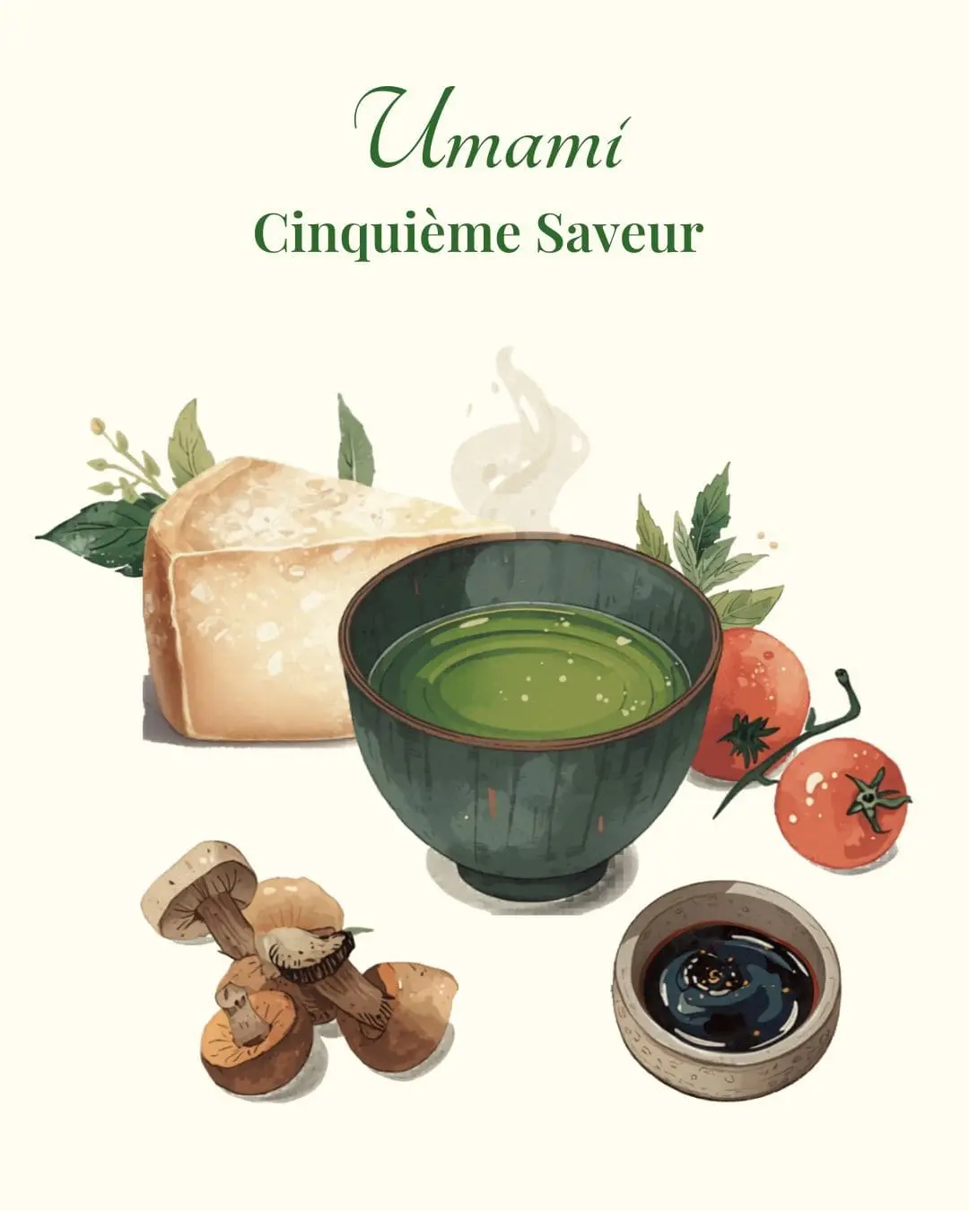 "Umami - Cinquième saveur" un flyer représentant en illustration différents aliments de la saveur Umami : parmesan, tomate, thé, champignon et sauce soja